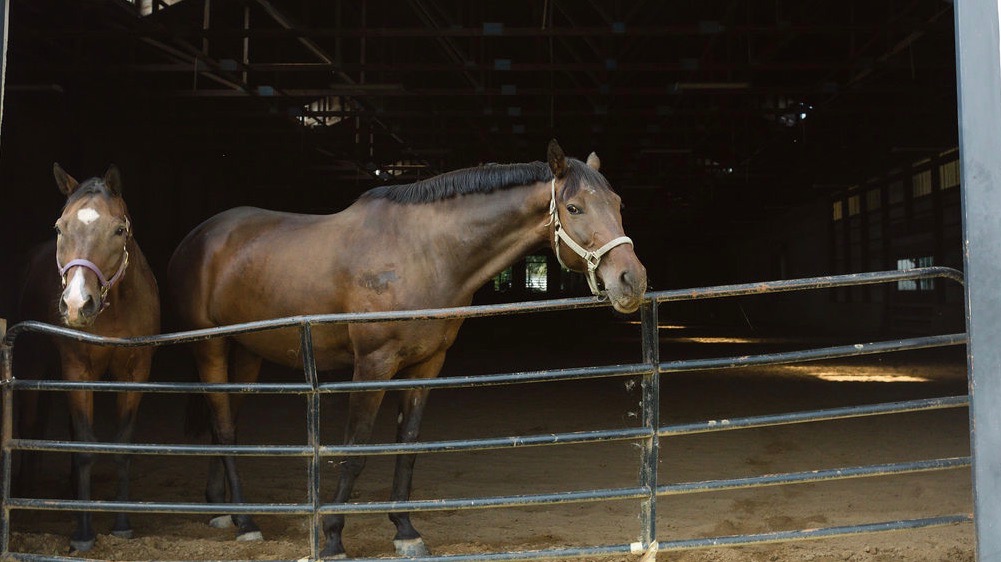 Equestrian, Spa Walden, Spas of America