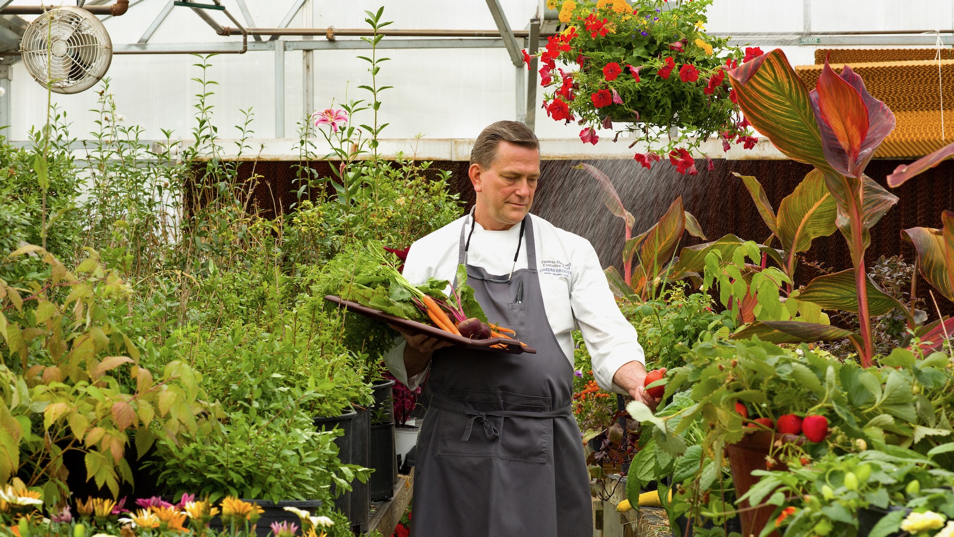 Chef, Garden of the Gods Resort & Spa, Spas of America