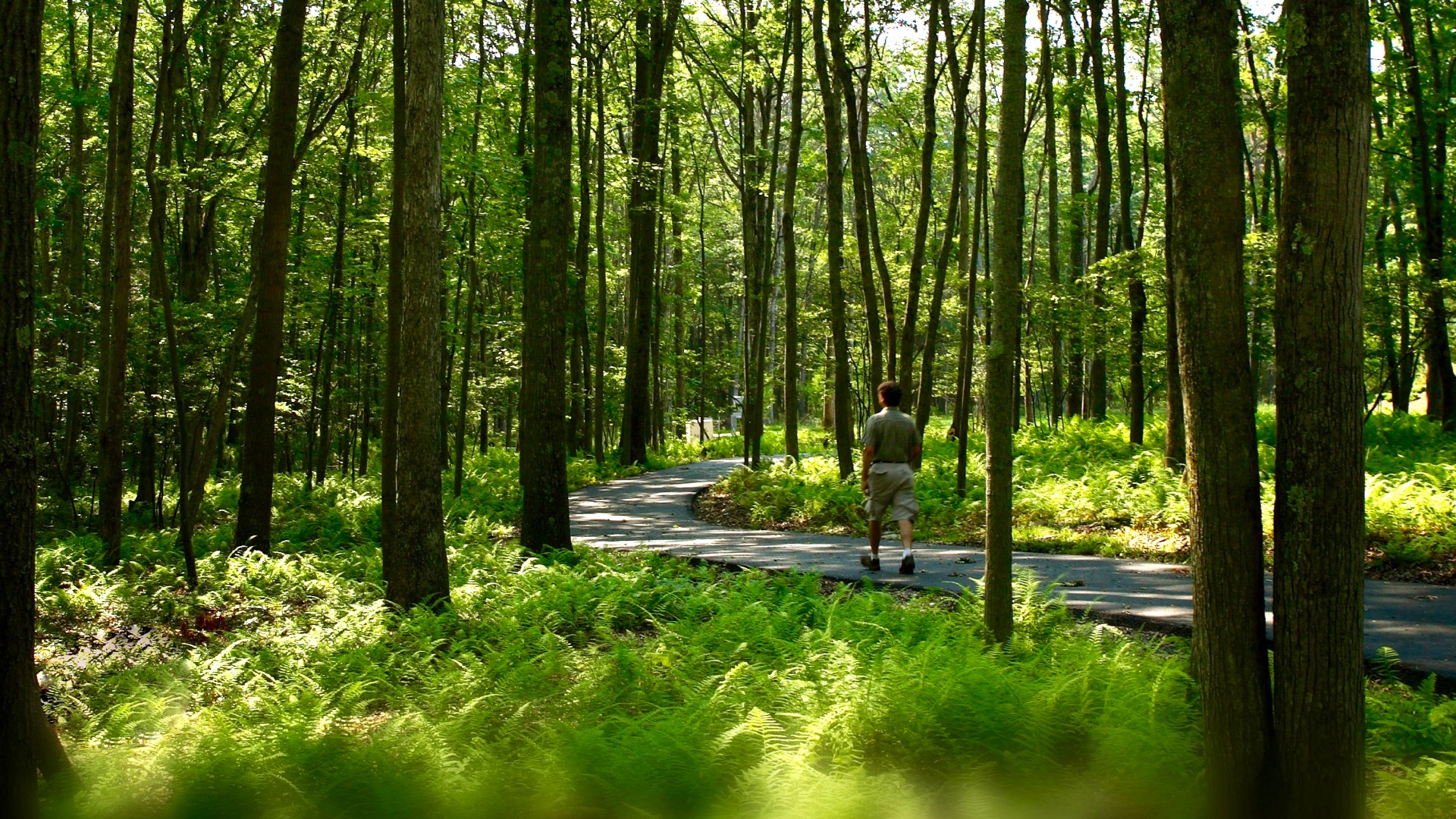 The Lodge at Woodloch, Spas of America